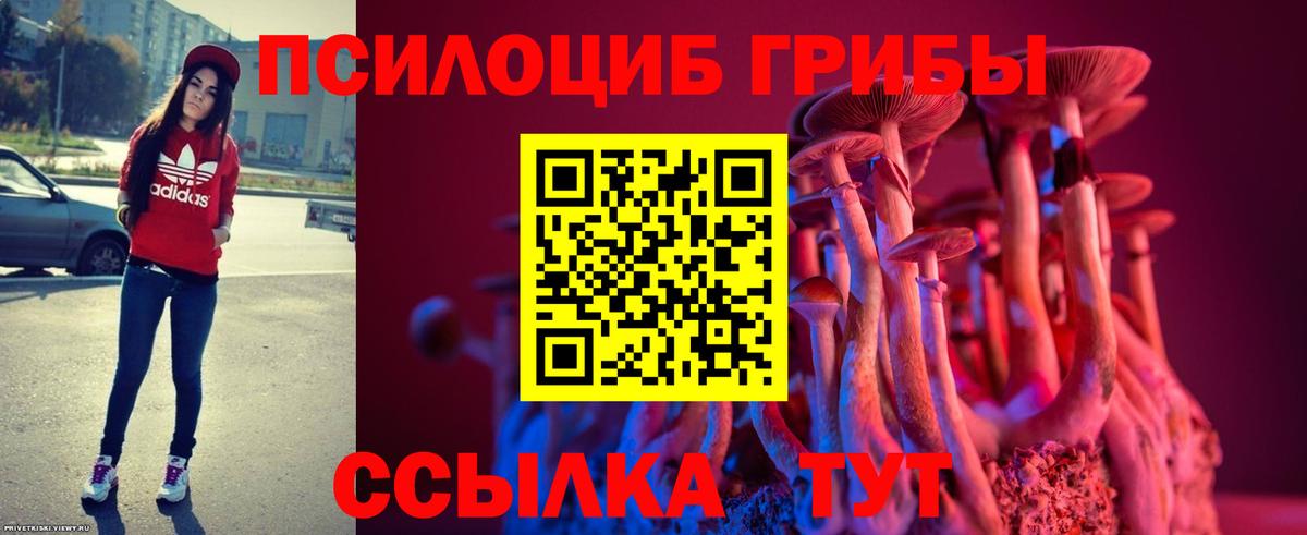 Псилоцибиновые грибы Psilocybine cubensis Дзержинский