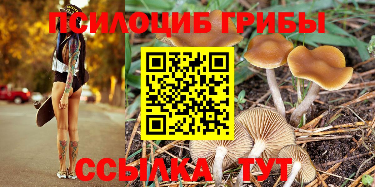 Дзержинский  Псилоцибиновые грибы Cubensis  где продают   Галлюциногенные грибы прущие грибы  Вход с VPN 